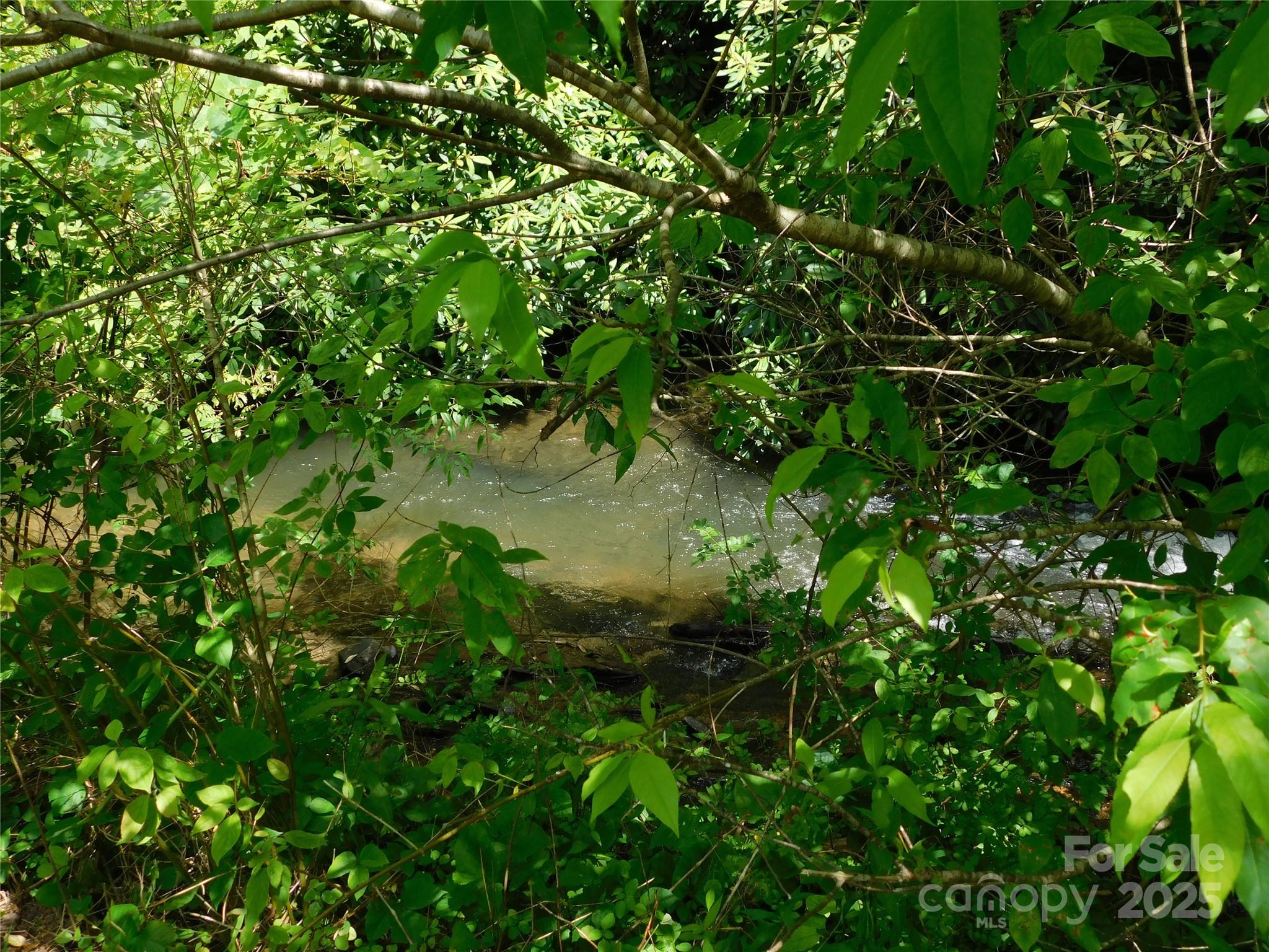 7320 Asheville Highway Property Photo 8