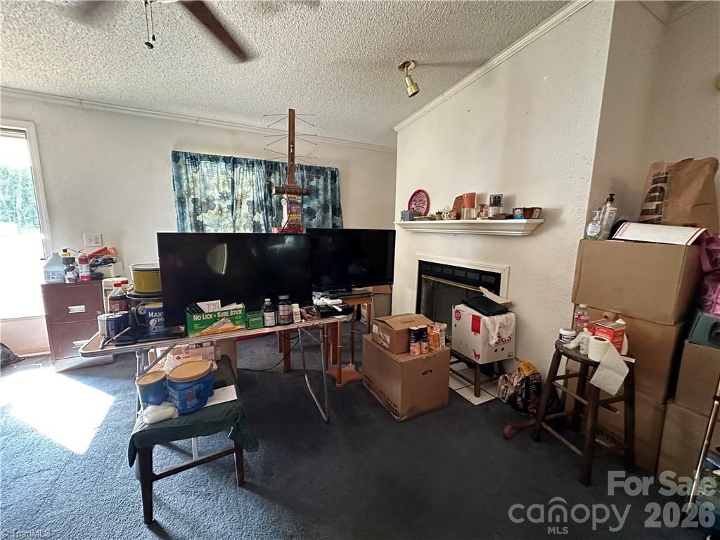 100 Springs Court Property Photo 9