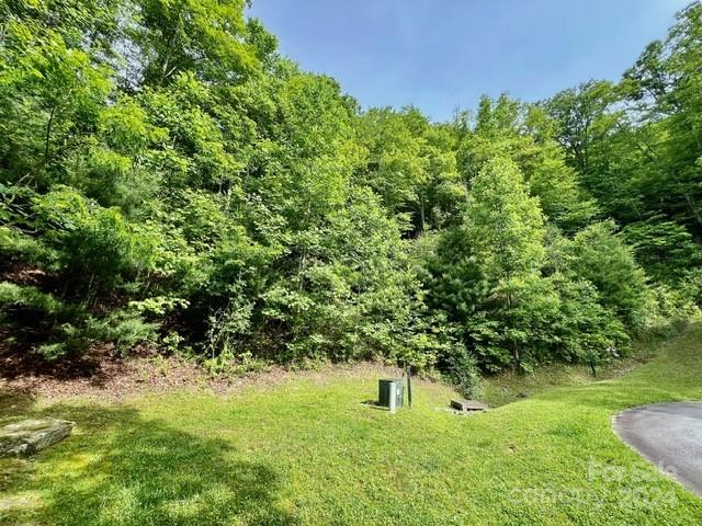 271 Mountain Morning Lane 41 Property Photo 1