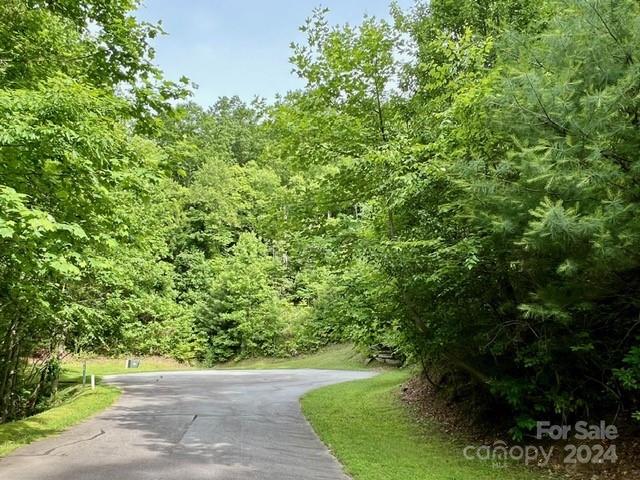 271 Mountain Morning Lane 41 Property Photo 3