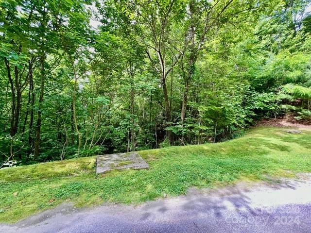 271 Mountain Morning Lane 41 Property Photo 4