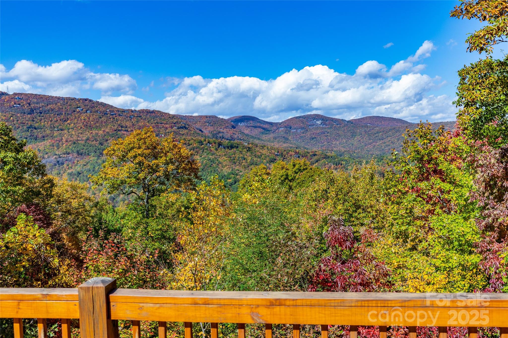 60 Lakeside Trail Property Photo 1