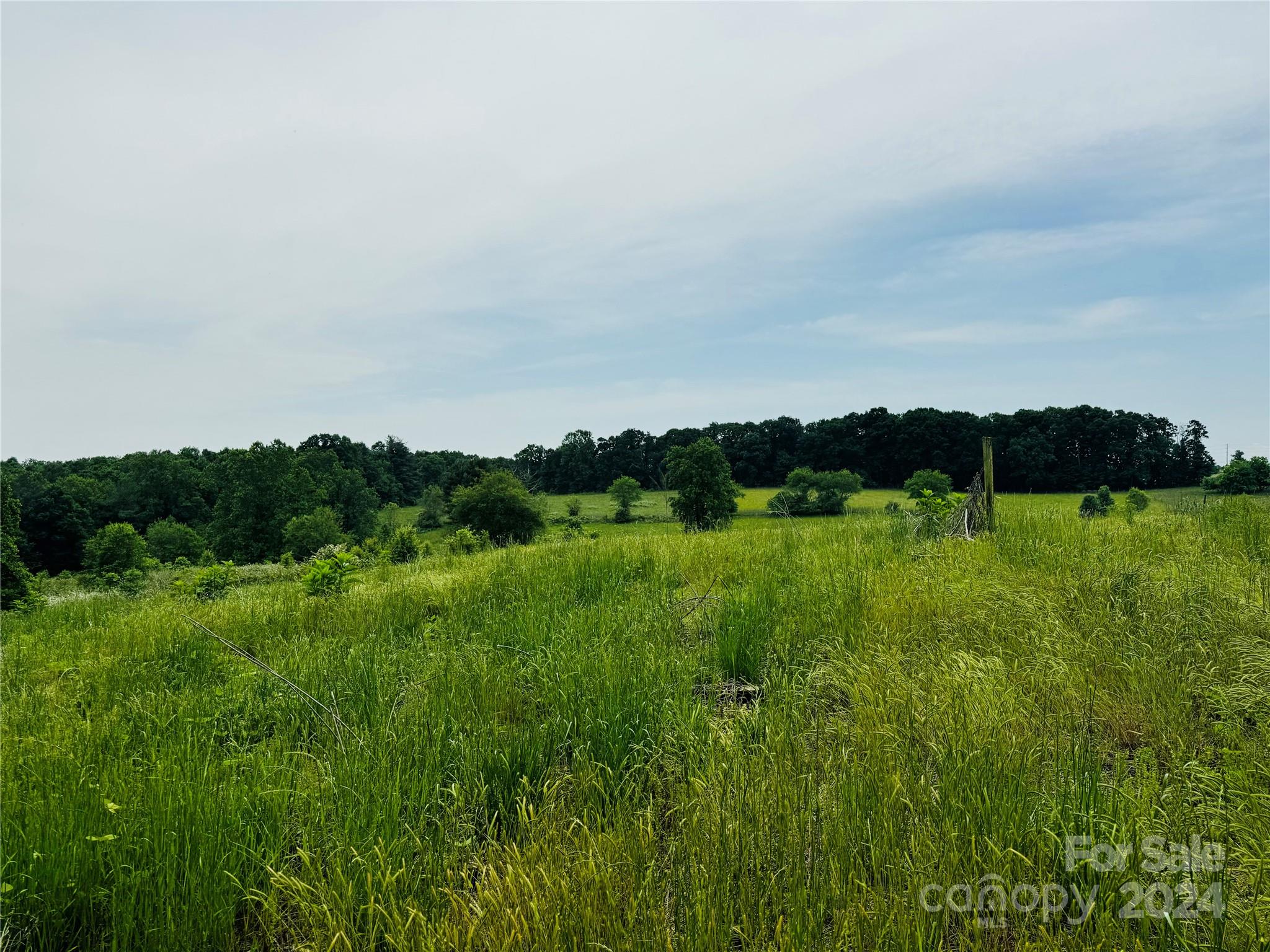 8333 Nc Hwy 18 South Property Photo 10