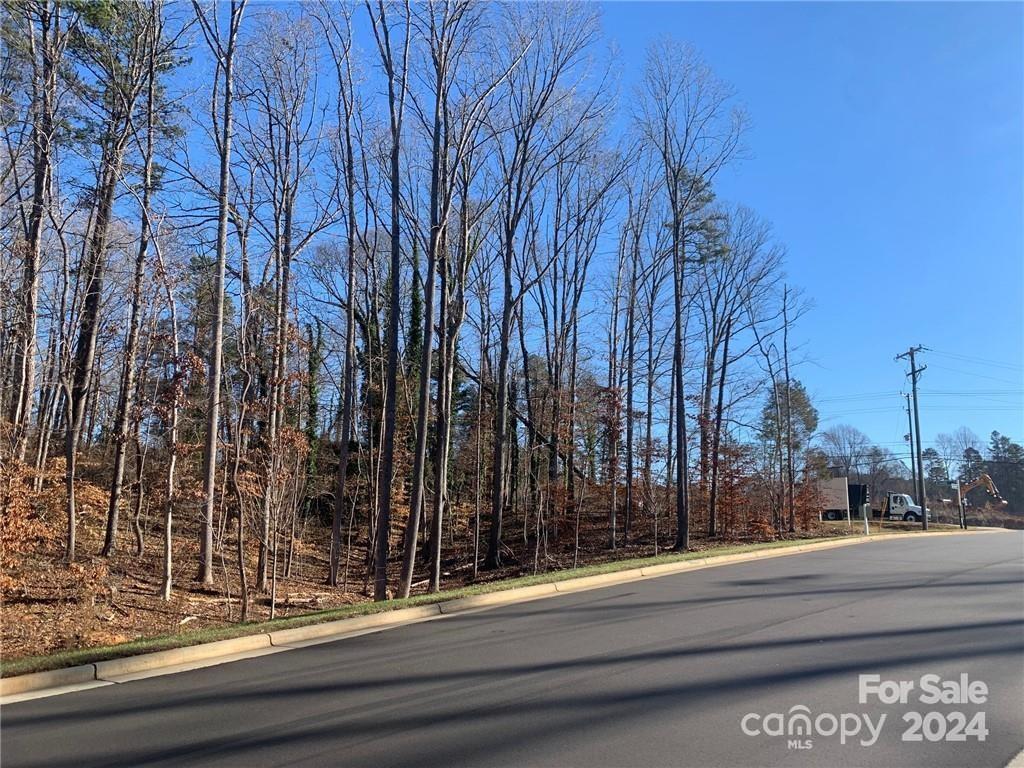0000 Charlotte Highway Property Photo 4