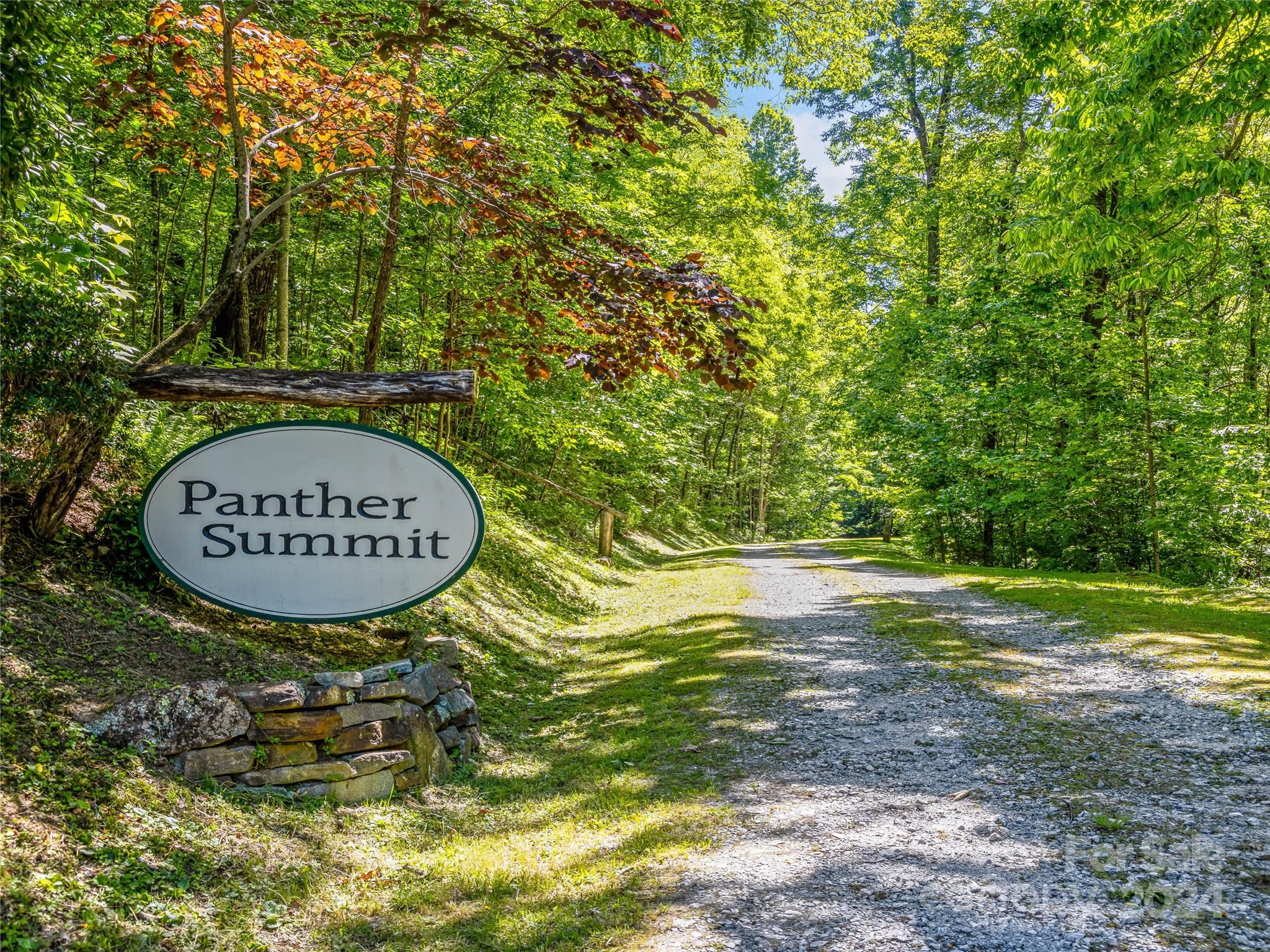 Ps 3 Panther Summit Drive Property Photo 2
