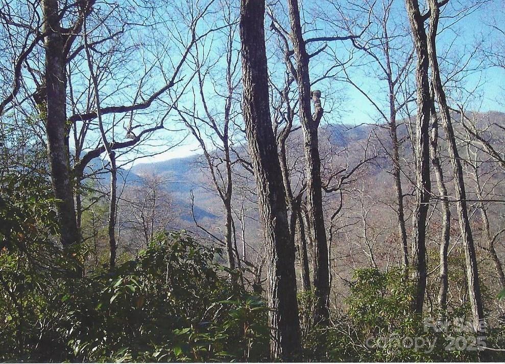 Macon Early College Real Estate Listings Main Image