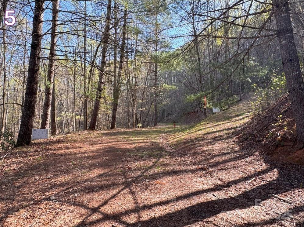 0 Crestline Drive Property Photo 6