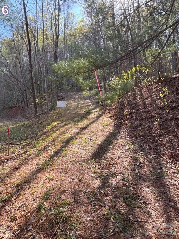 0 Crestline Drive Property Photo 7