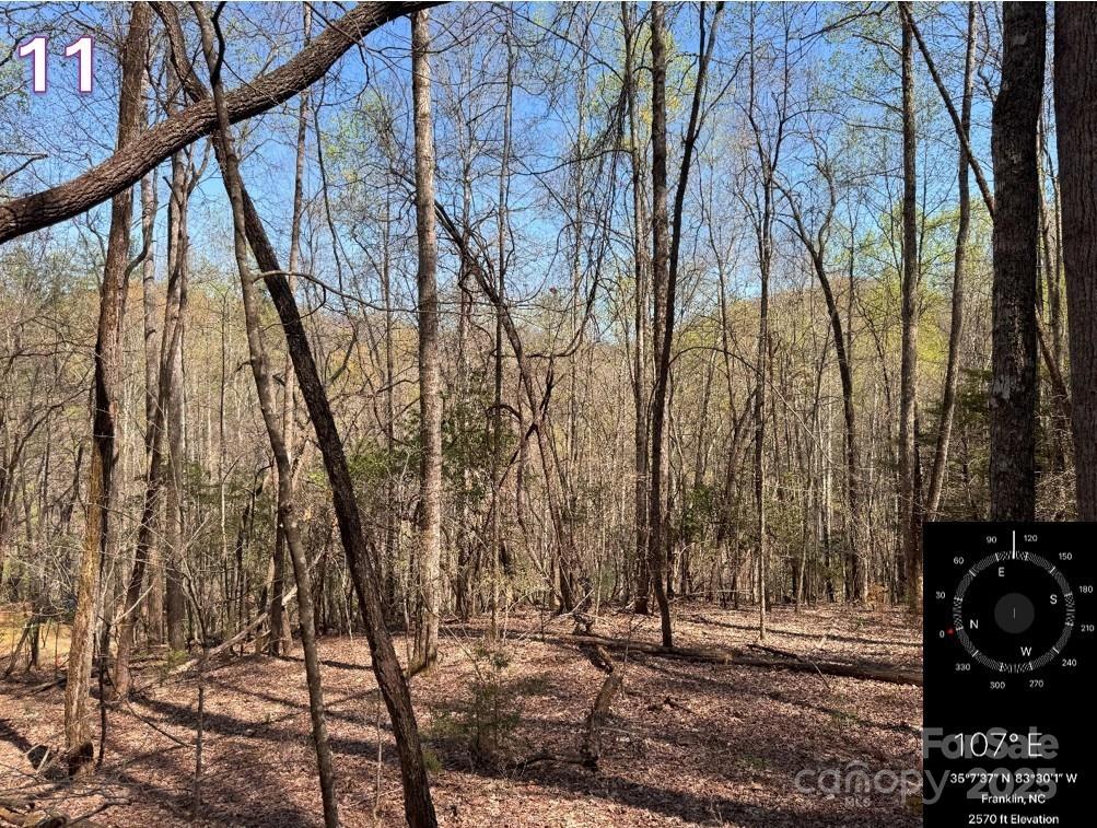 0 Crestline Drive Property Photo 12