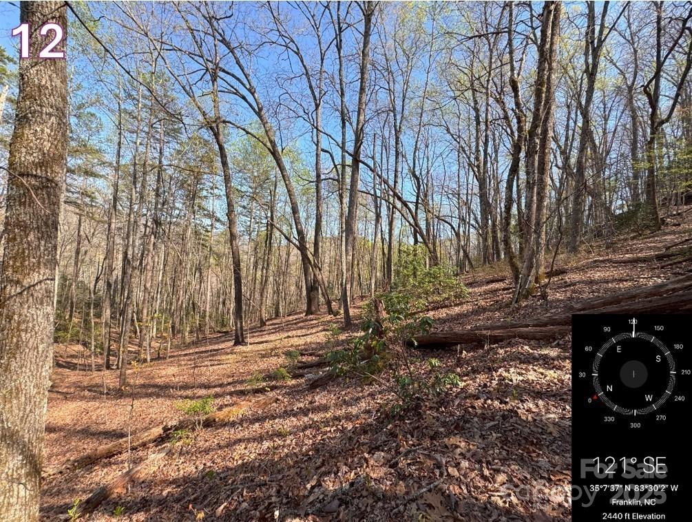 0 Crestline Drive Property Photo 13