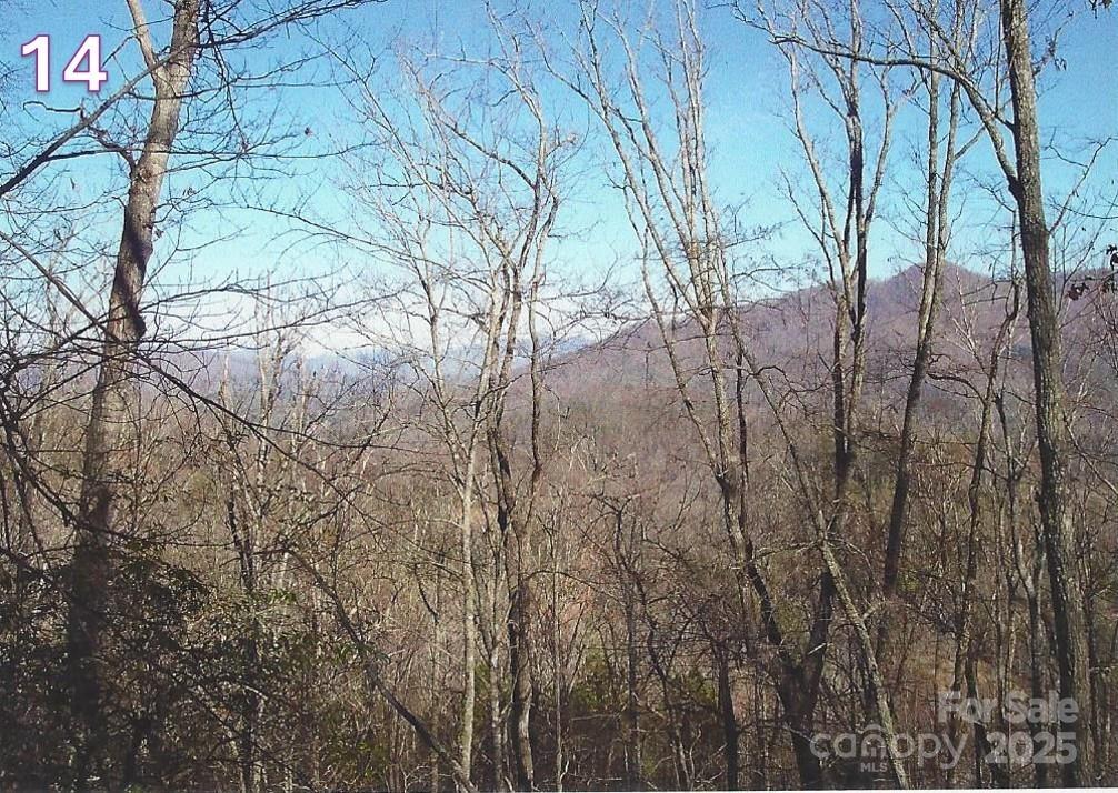 0 Crestline Drive Property Photo 15