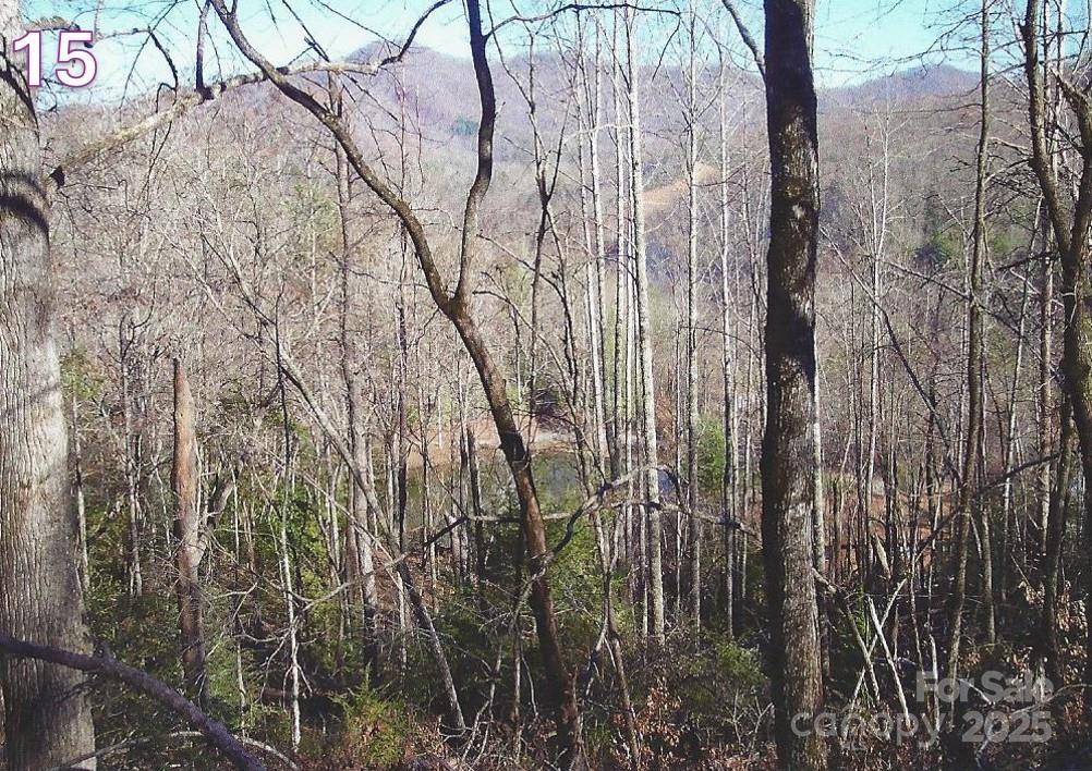 0 Crestline Drive Property Photo 16