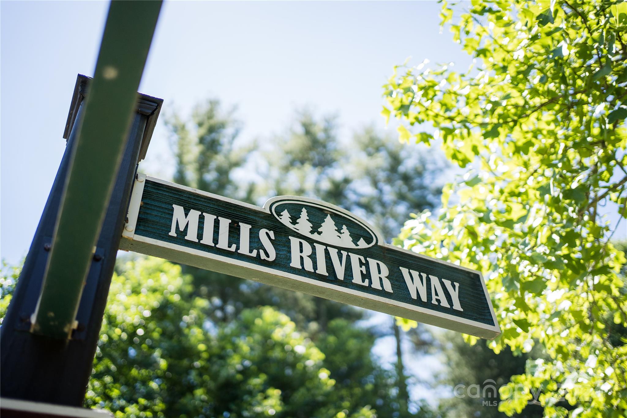 1018 Mills River Way Property Photo 2