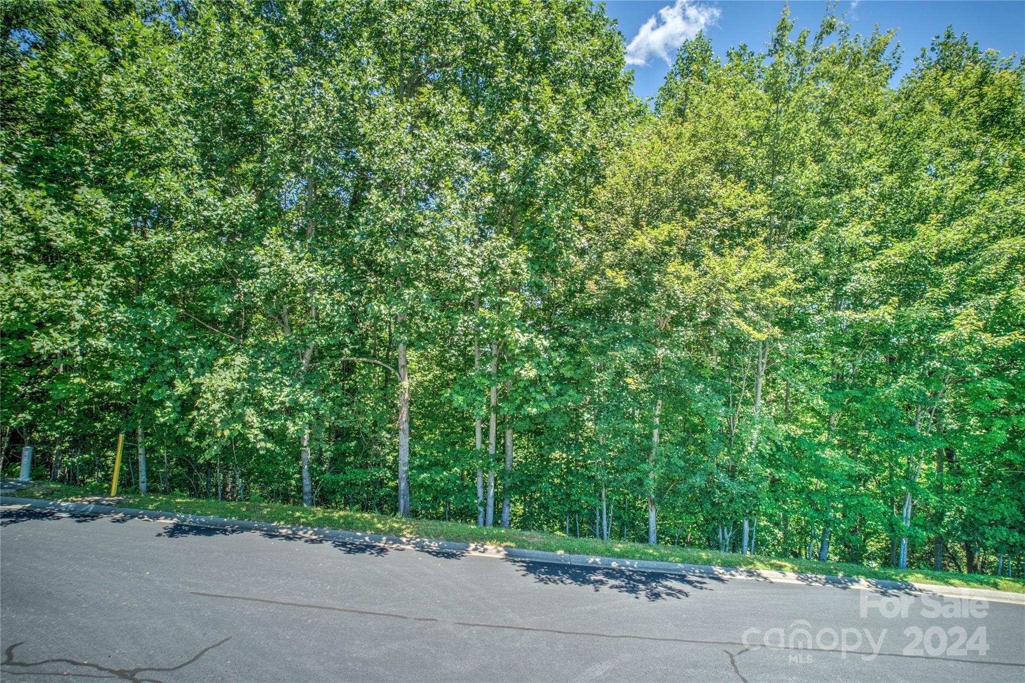 1018 Mills River Way Property Photo 5