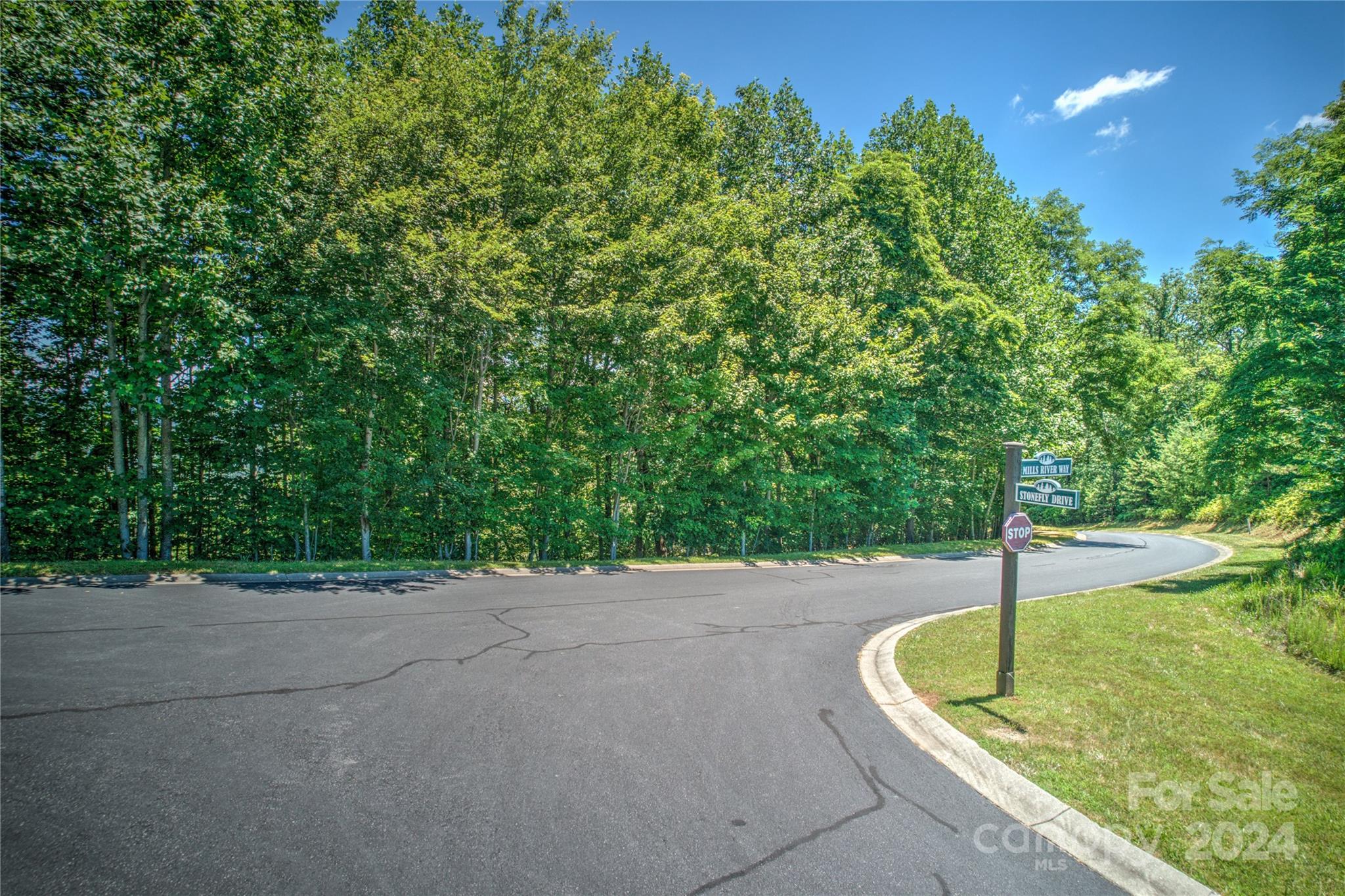 1018 Mills River Way Property Photo 6