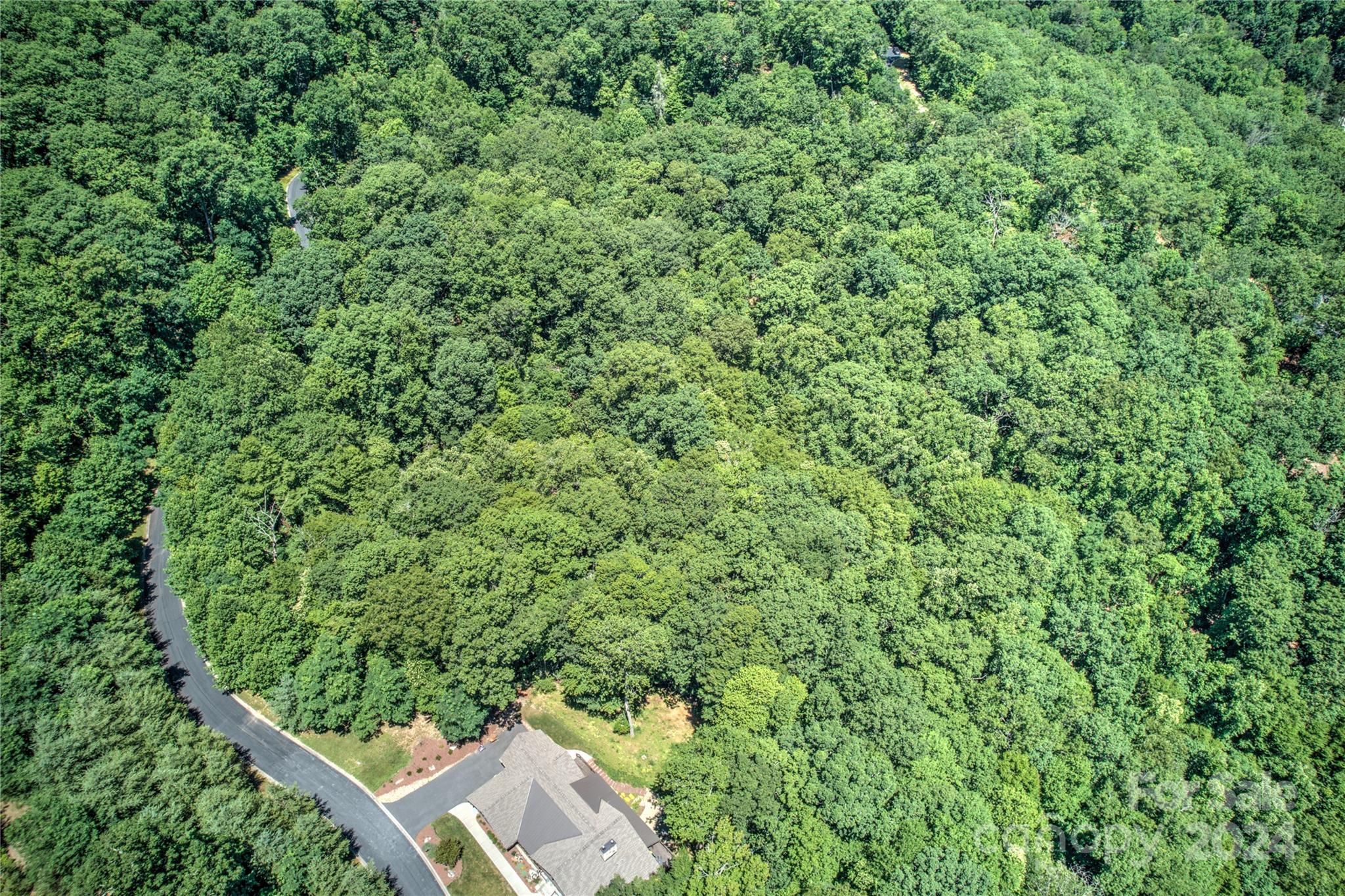 567 Shining Rock Path Property Photo 1