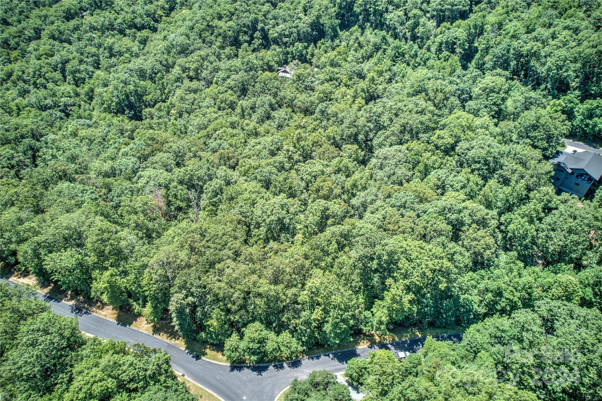567 Shining Rock Path Property Photo 3