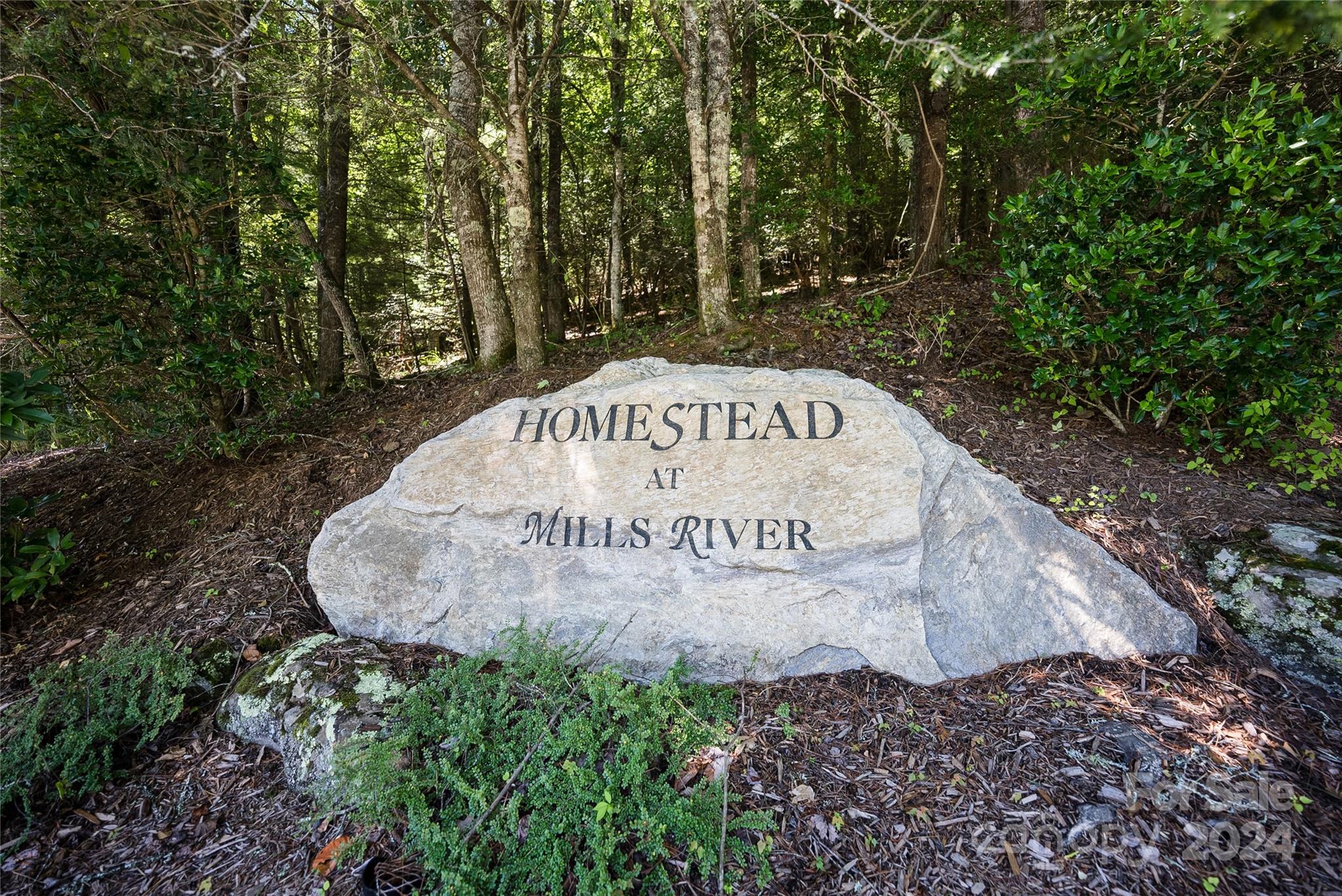 567 Shining Rock Path Property Photo 4