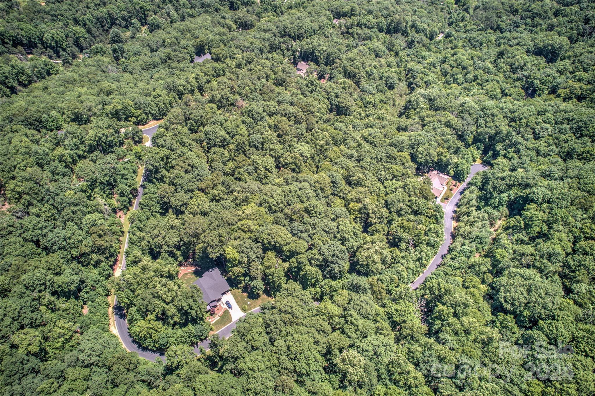 567 Shining Rock Path Property Photo 7