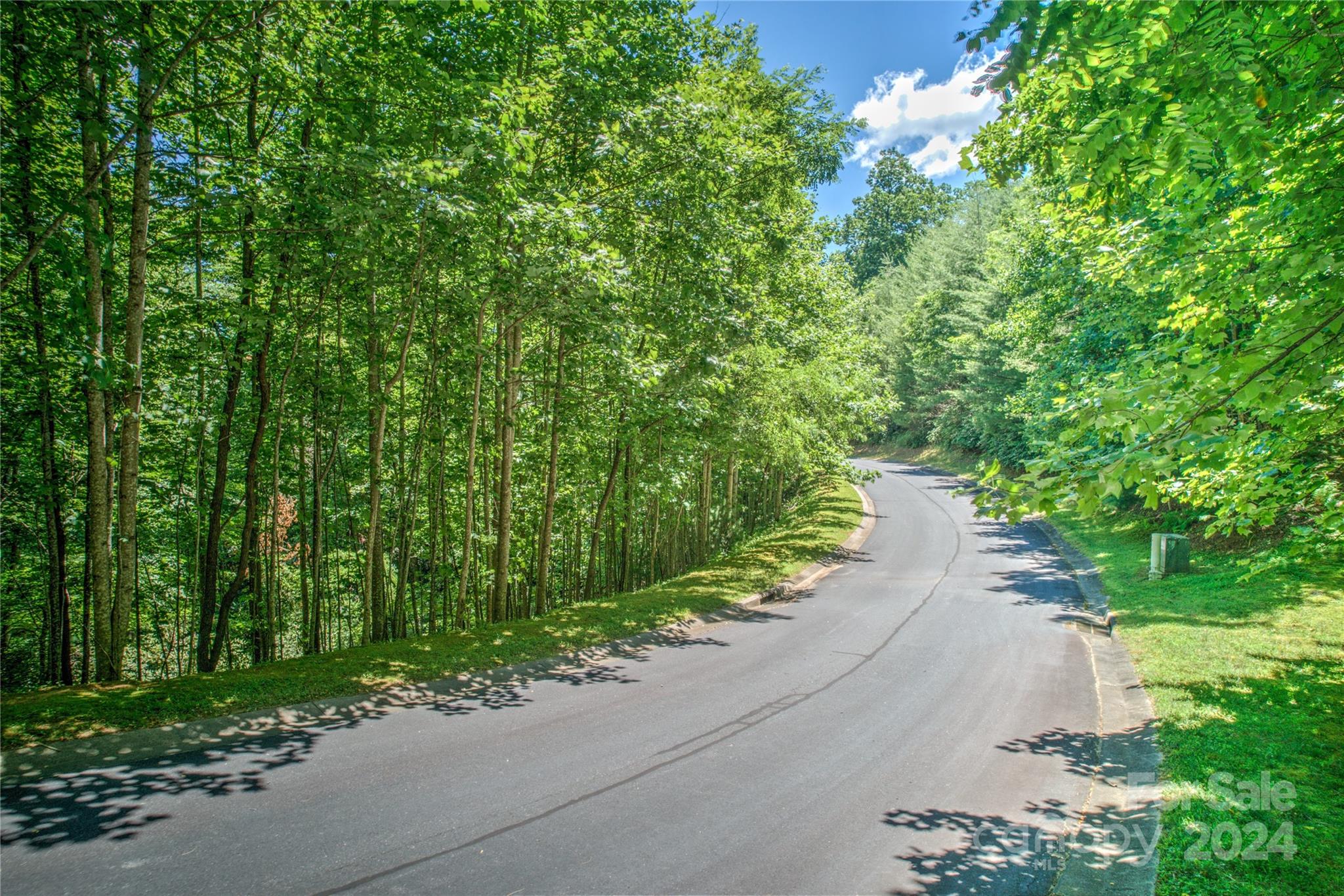 567 Shining Rock Path Property Photo 9