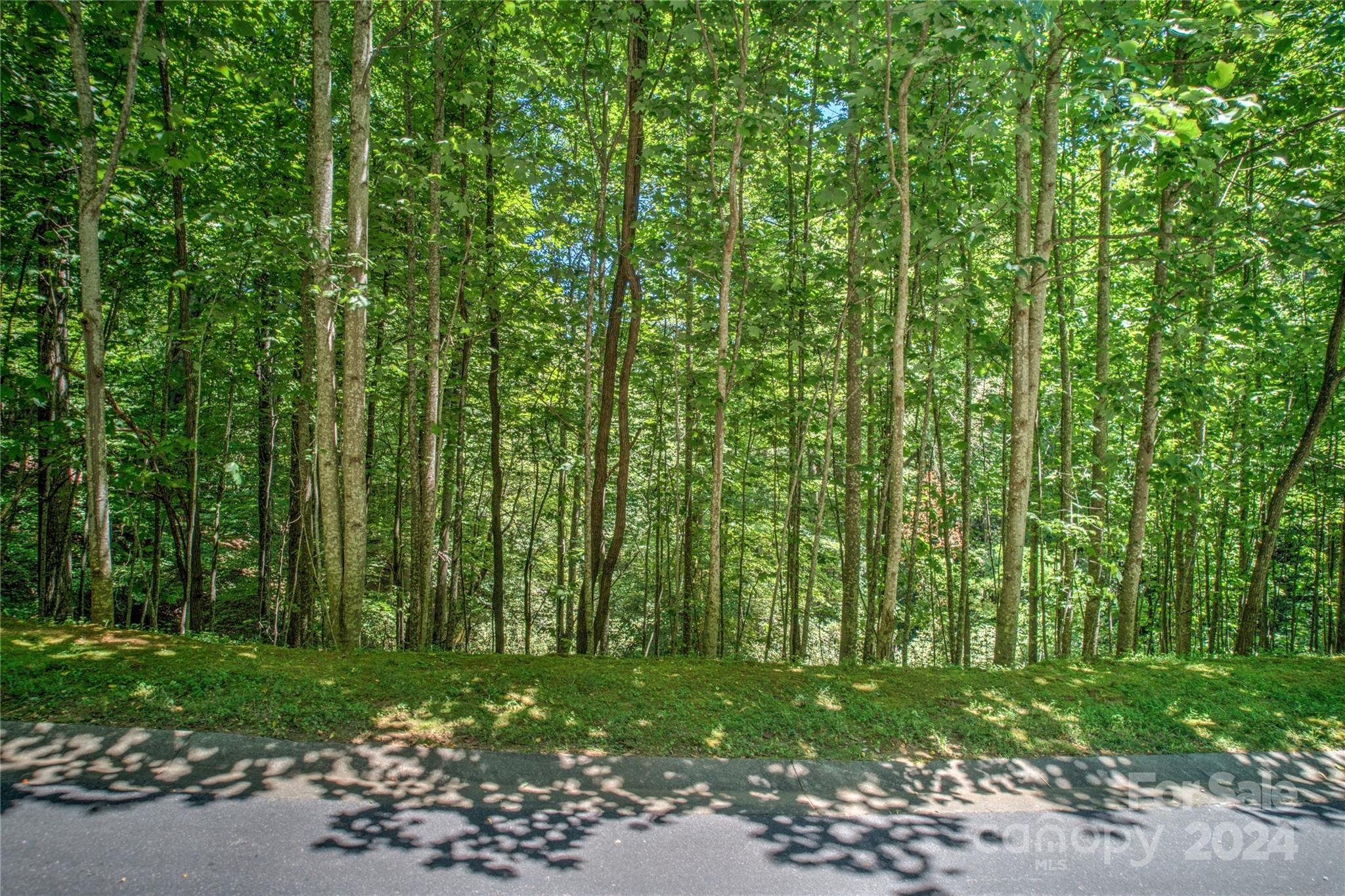 567 Shining Rock Path Property Photo 10