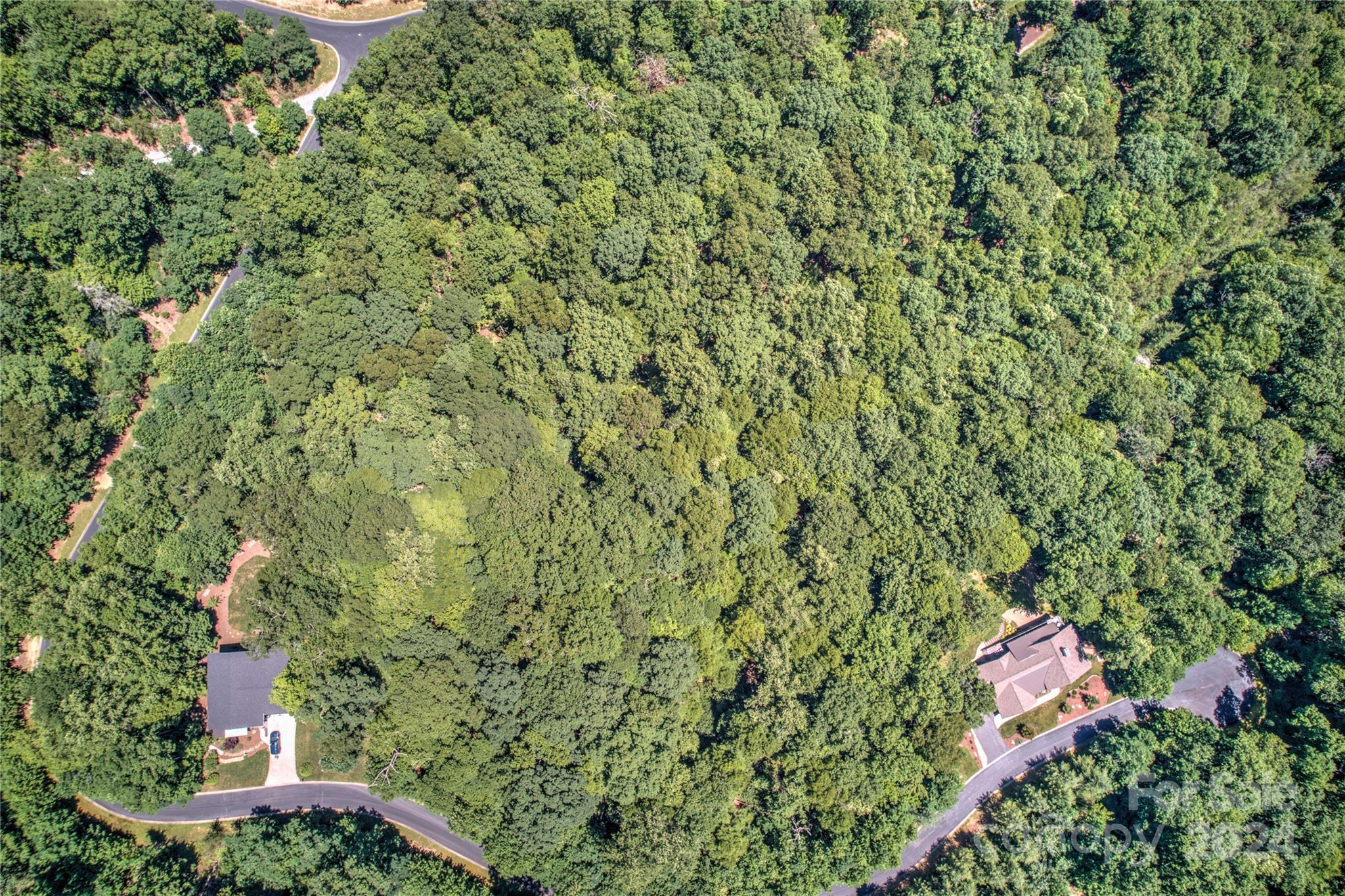 567 Shining Rock Path Property Photo 13