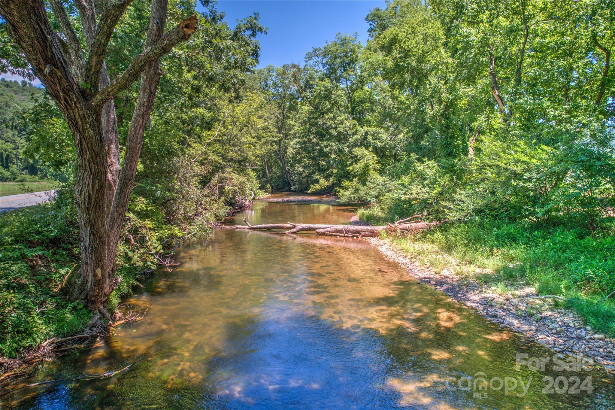 567 Shining Rock Path Property Photo 15
