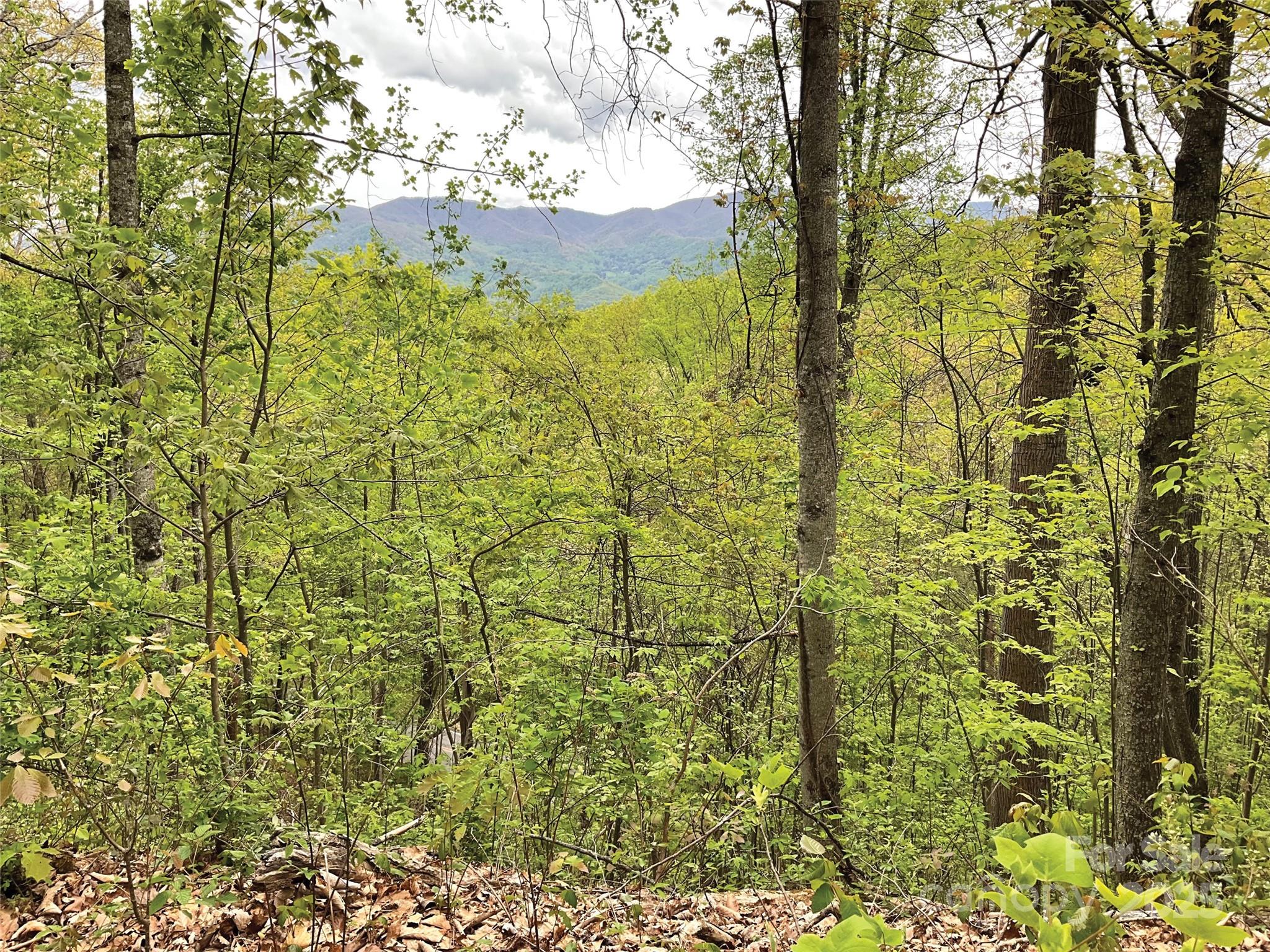 00 Eagles Nest Road Property Photo 1