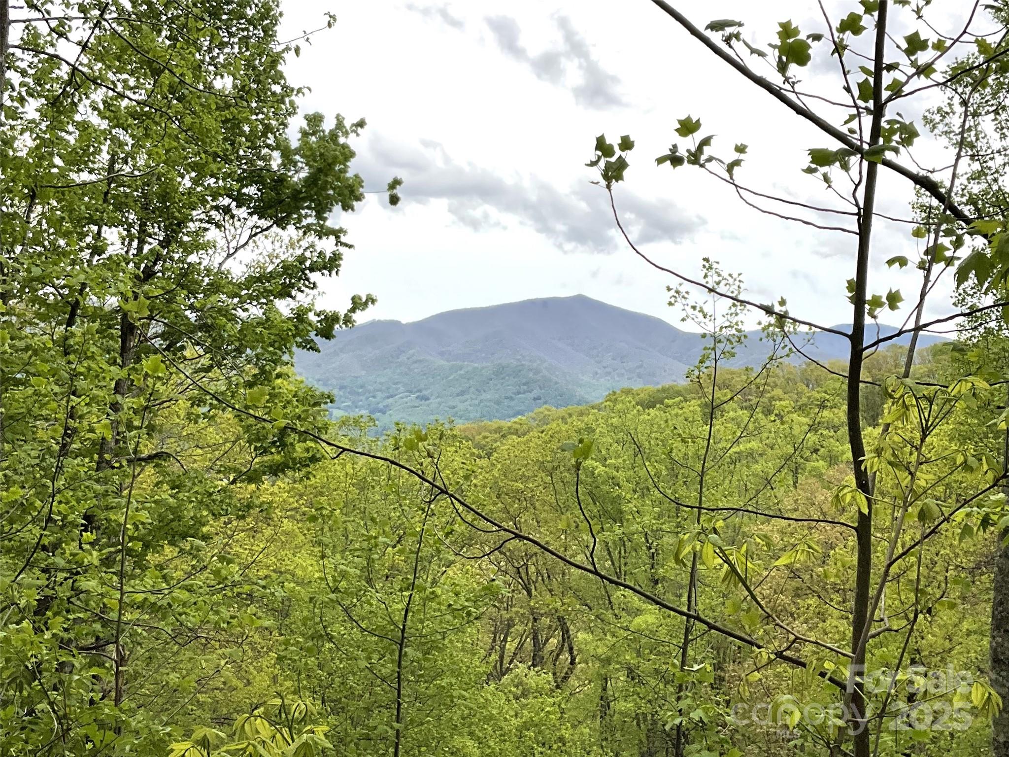 00 Eagles Nest Road Property Photo 2