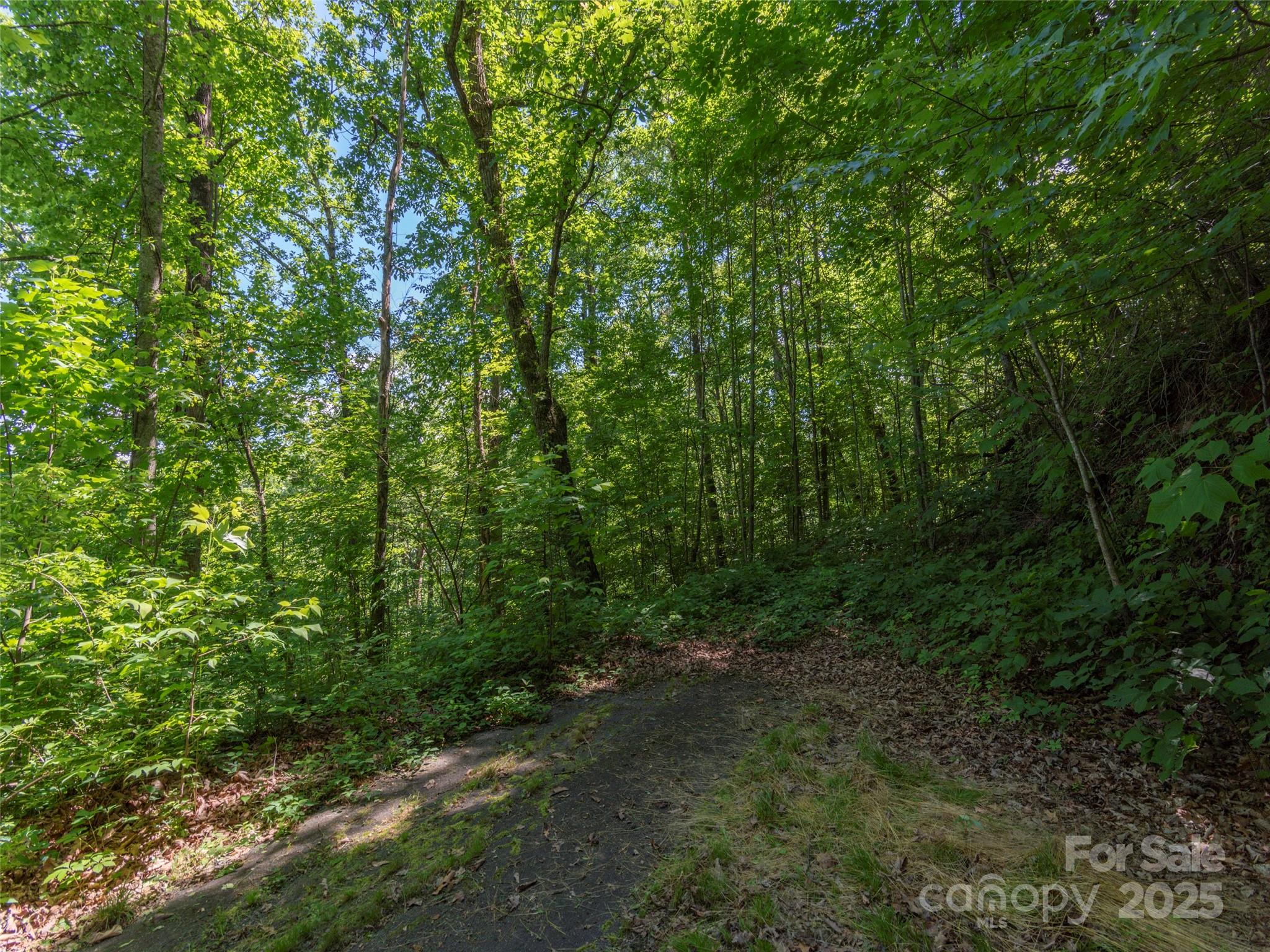 00 Eagles Nest Road Property Photo 3