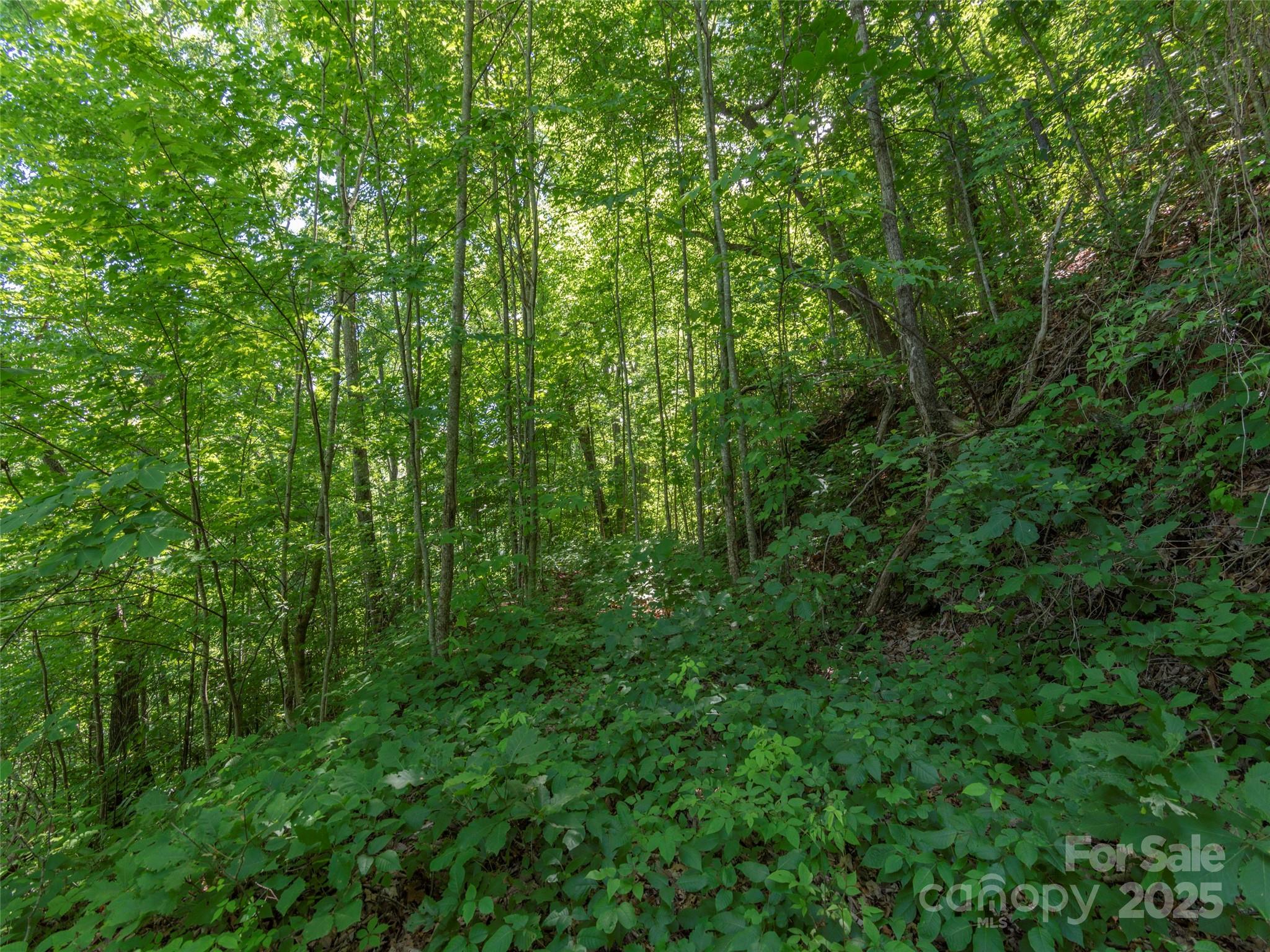00 Eagles Nest Road Property Photo 4