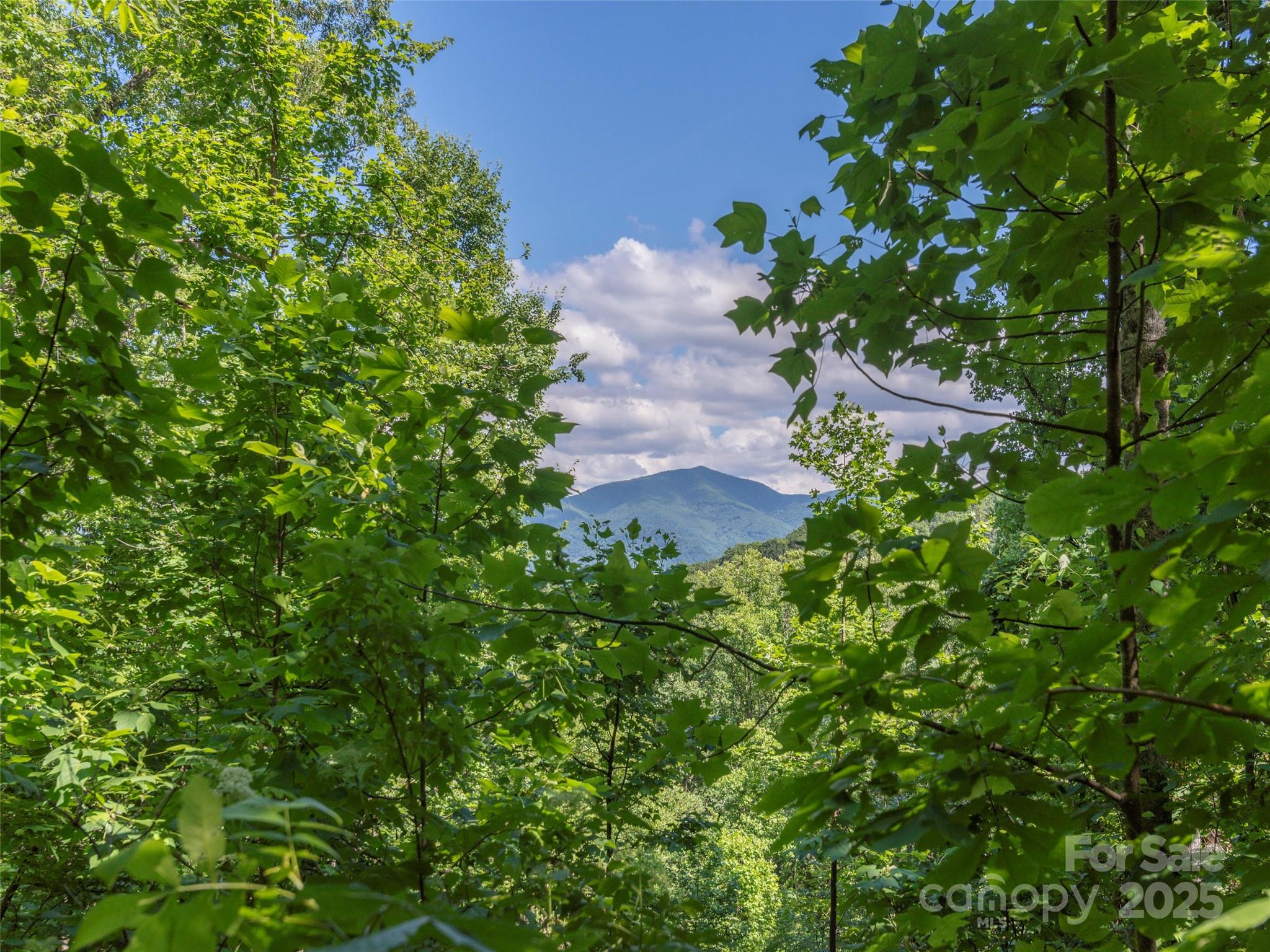 00 Eagles Nest Road Property Photo 5