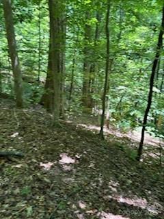 0 Cherokee Circle Lot 11 Property Photo 1