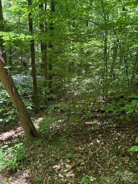 0 Cherokee Circle Lot 11 Property Photo 2