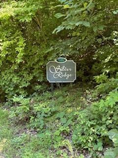 0 Cherokee Circle Lot 11 Property Photo 3