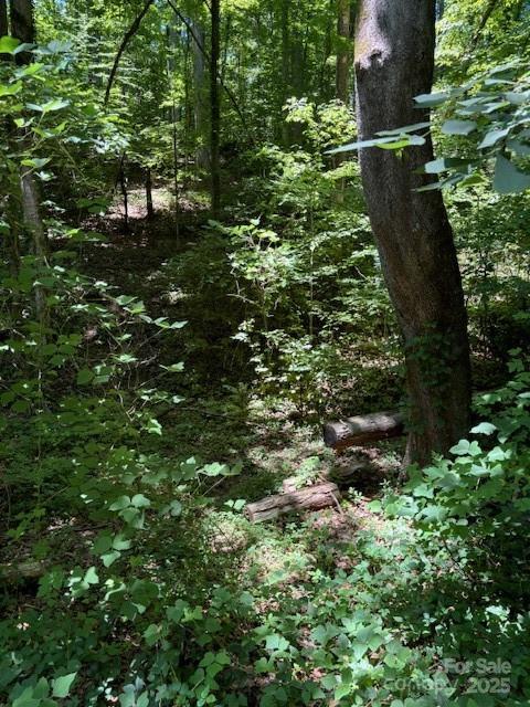 0 Cherokee Circle Lot 11 Property Photo 5