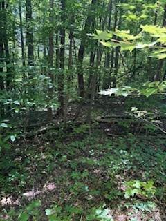 0 Cherokee Circle Lot 11 Property Photo 6