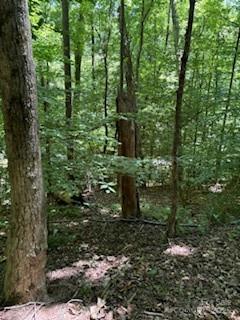 0 Cherokee Circle Lot 11 Property Photo 7