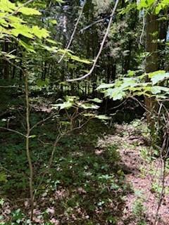 0 Cherokee Circle Lot 11 Property Photo 8