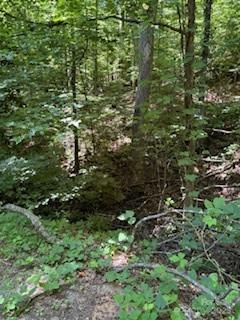 0 Cherokee Circle Lot 11 Property Photo 9