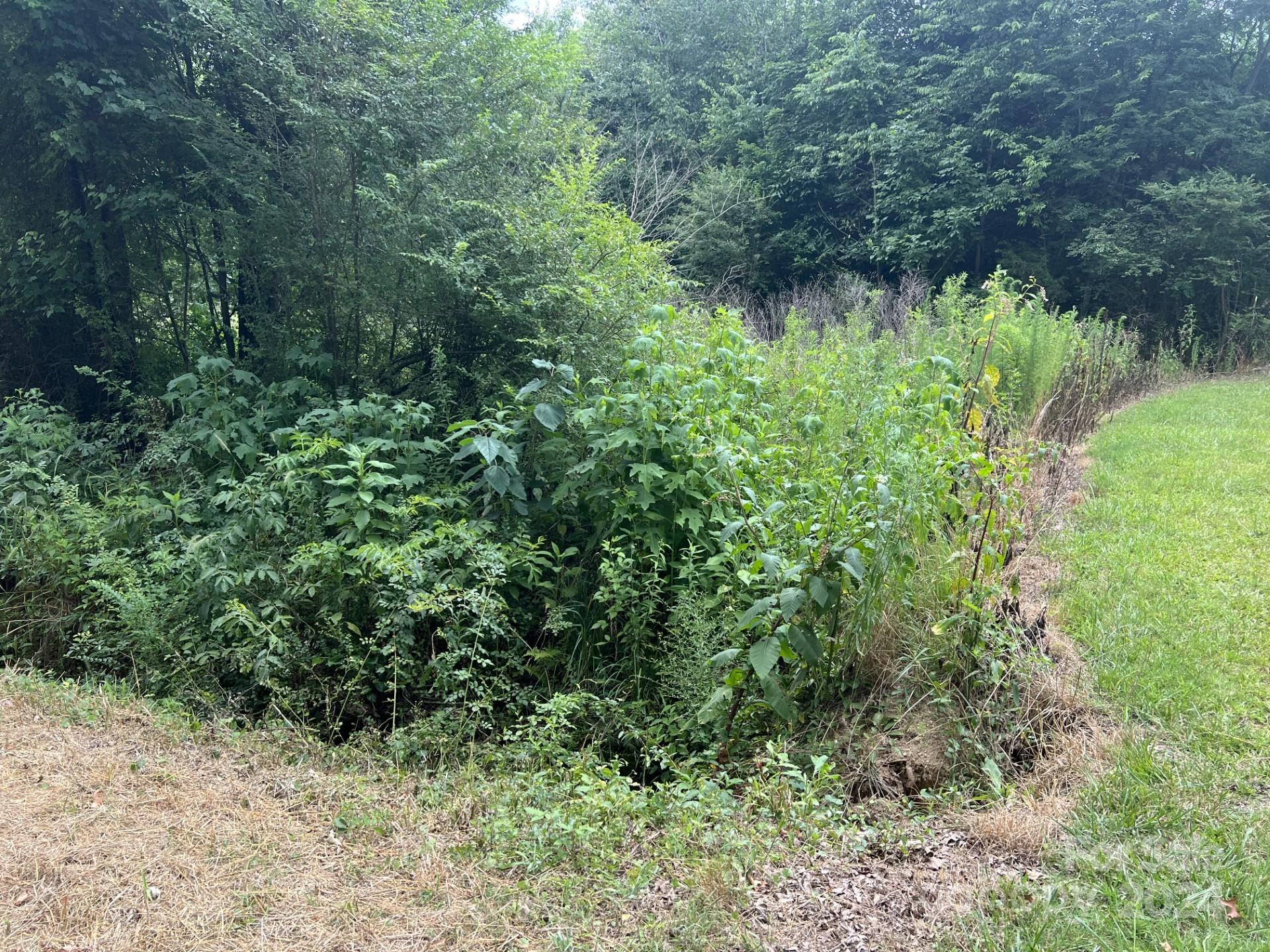 00 Cottonville Road Property Photo 1