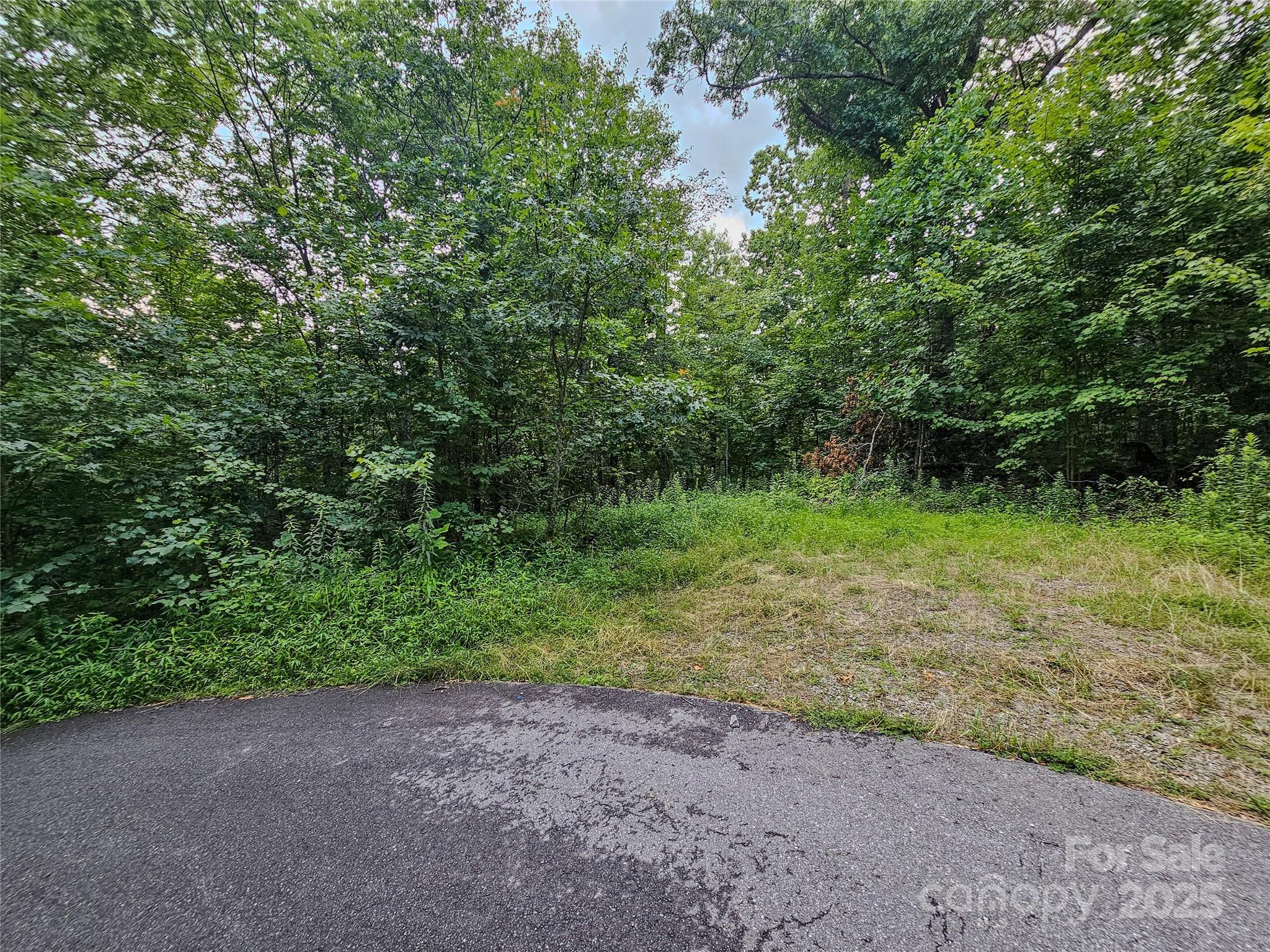 000 Windy Hill Drive 8 Property Photo 13
