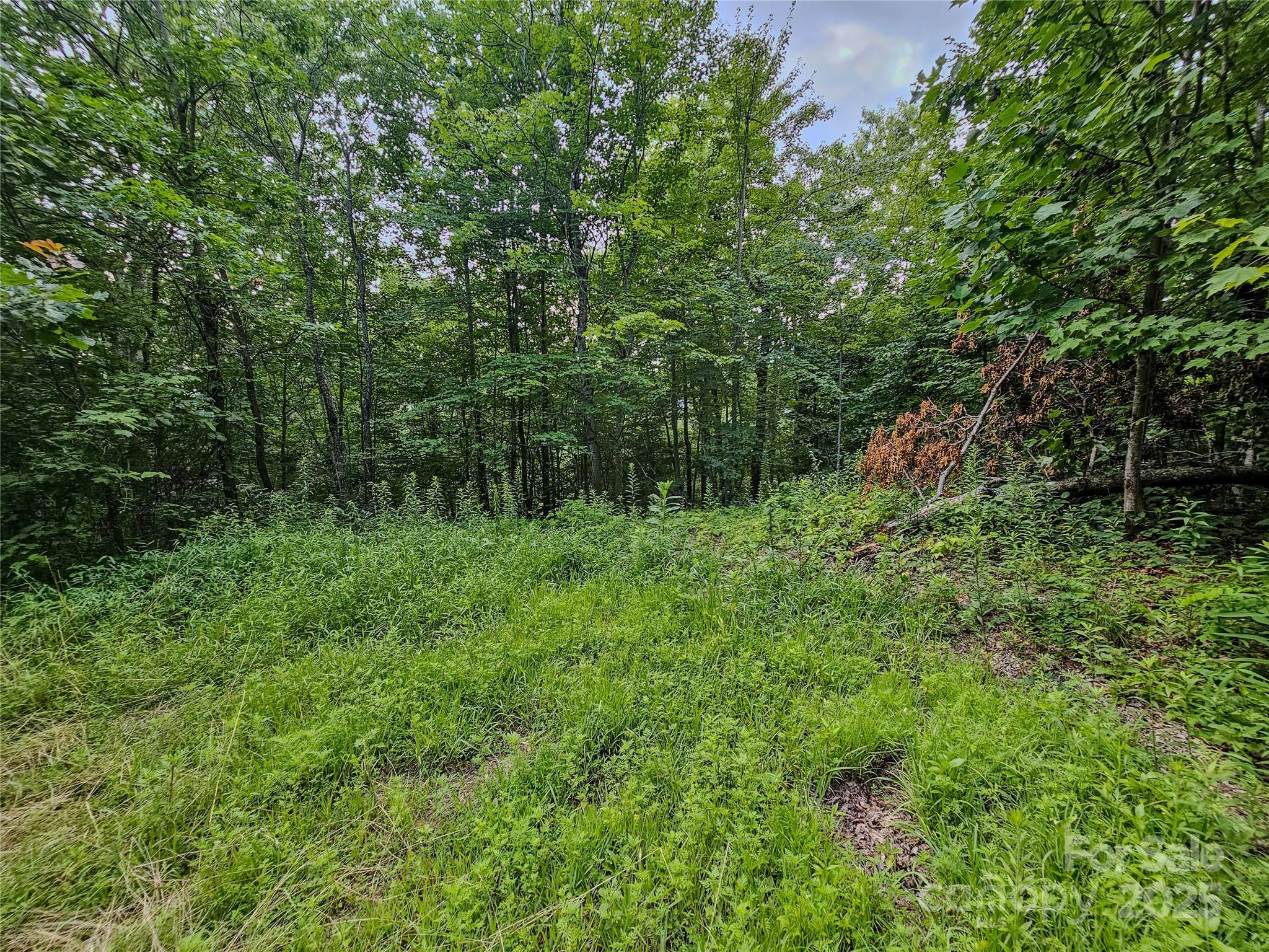 000 Windy Hill Drive 8 Property Photo 22