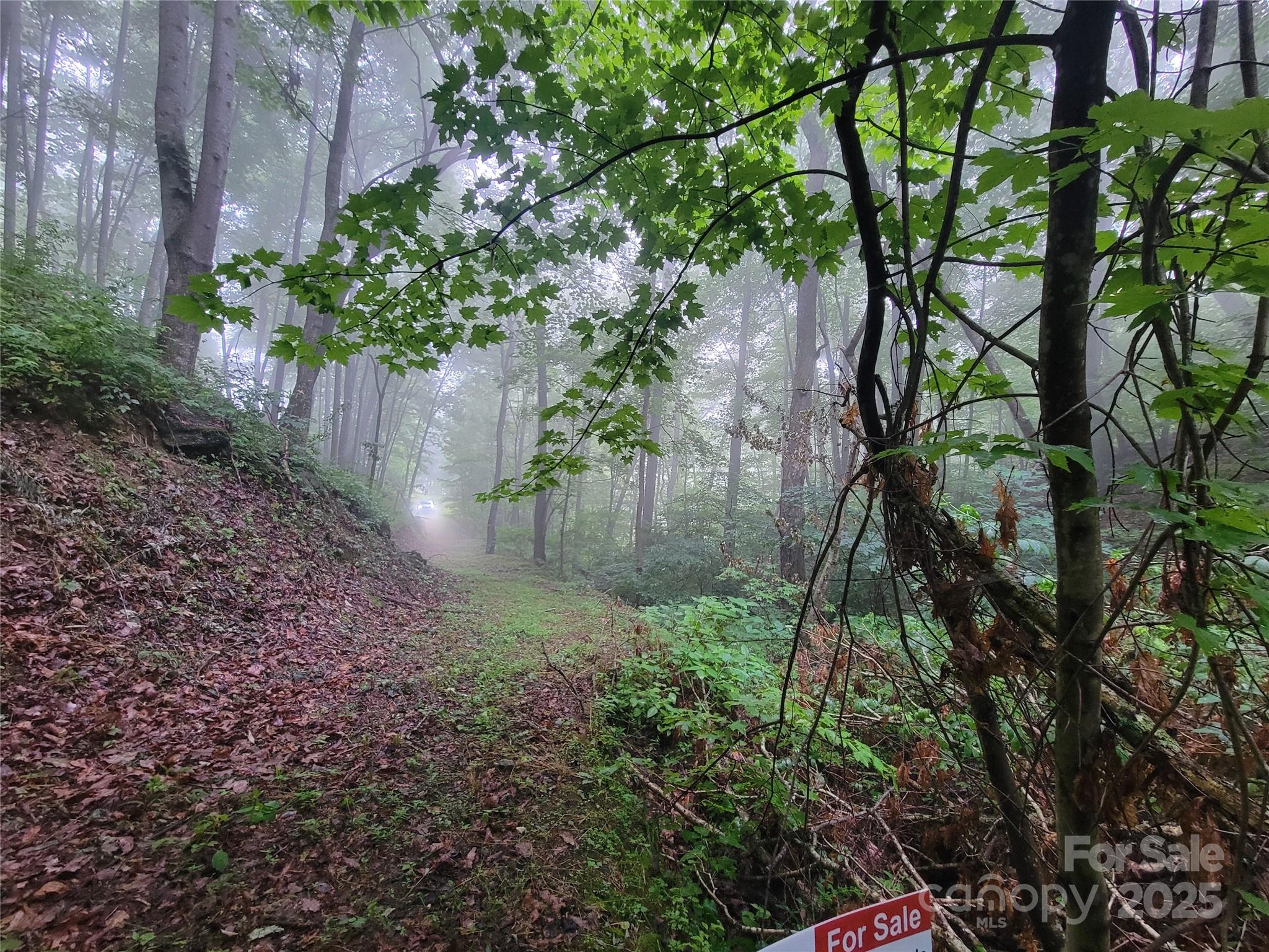 2100 Chambers Mountain Road Property Photo 1