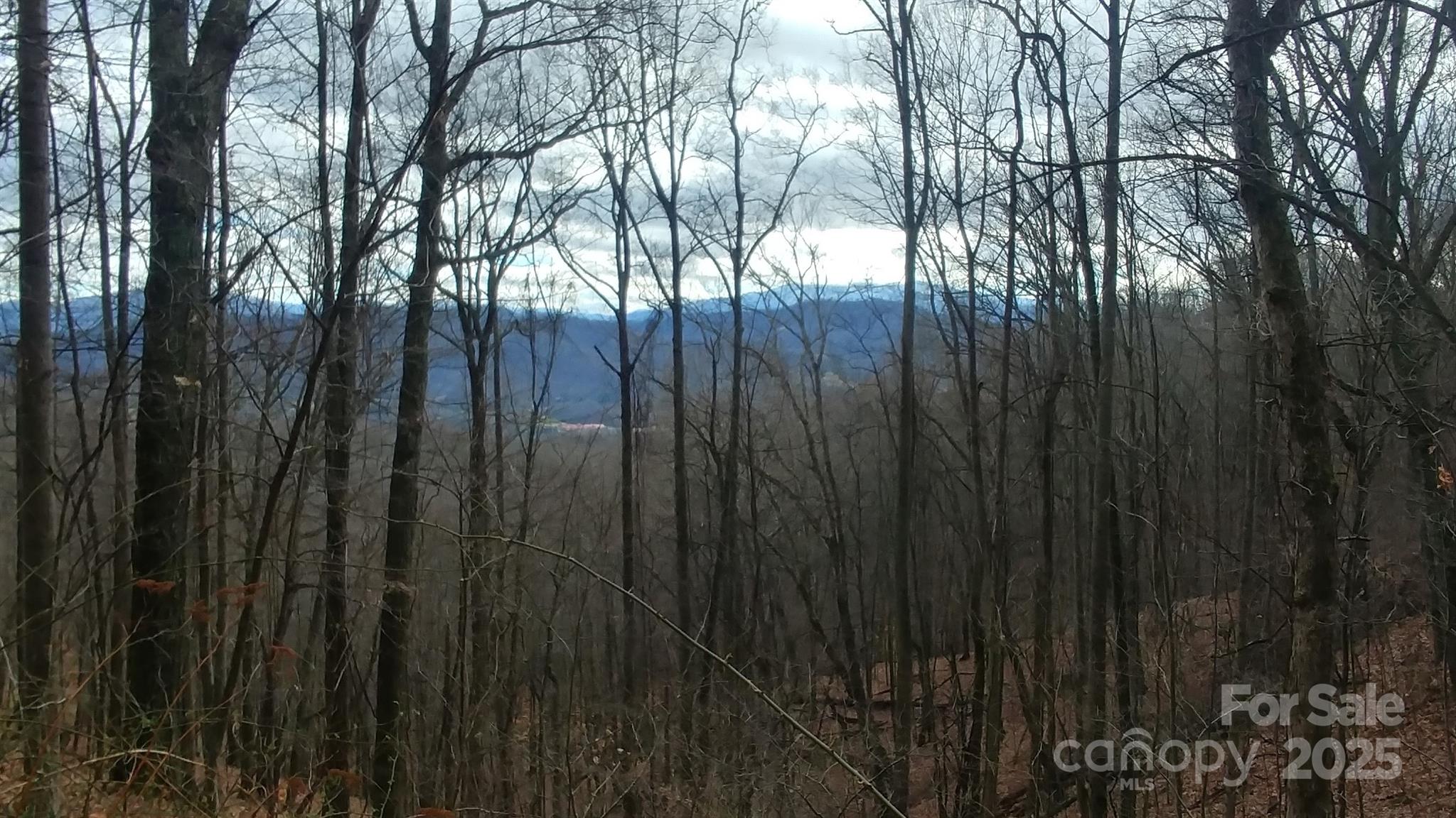 2100 Chambers Mountain Road Property Photo 2
