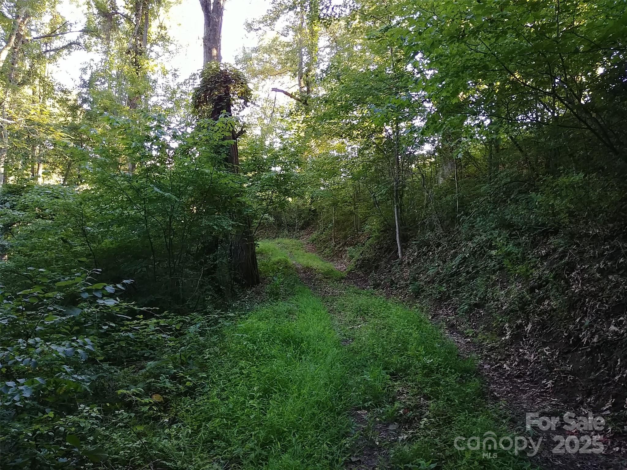 2100 Chambers Mountain Road Property Photo 3