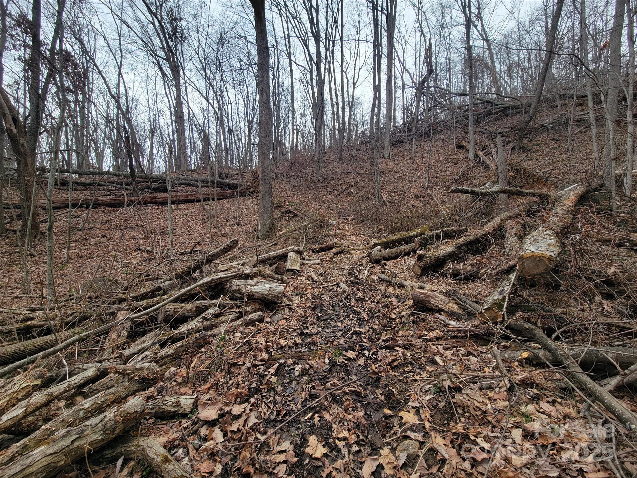 2100 Chambers Mountain Road Property Photo 4