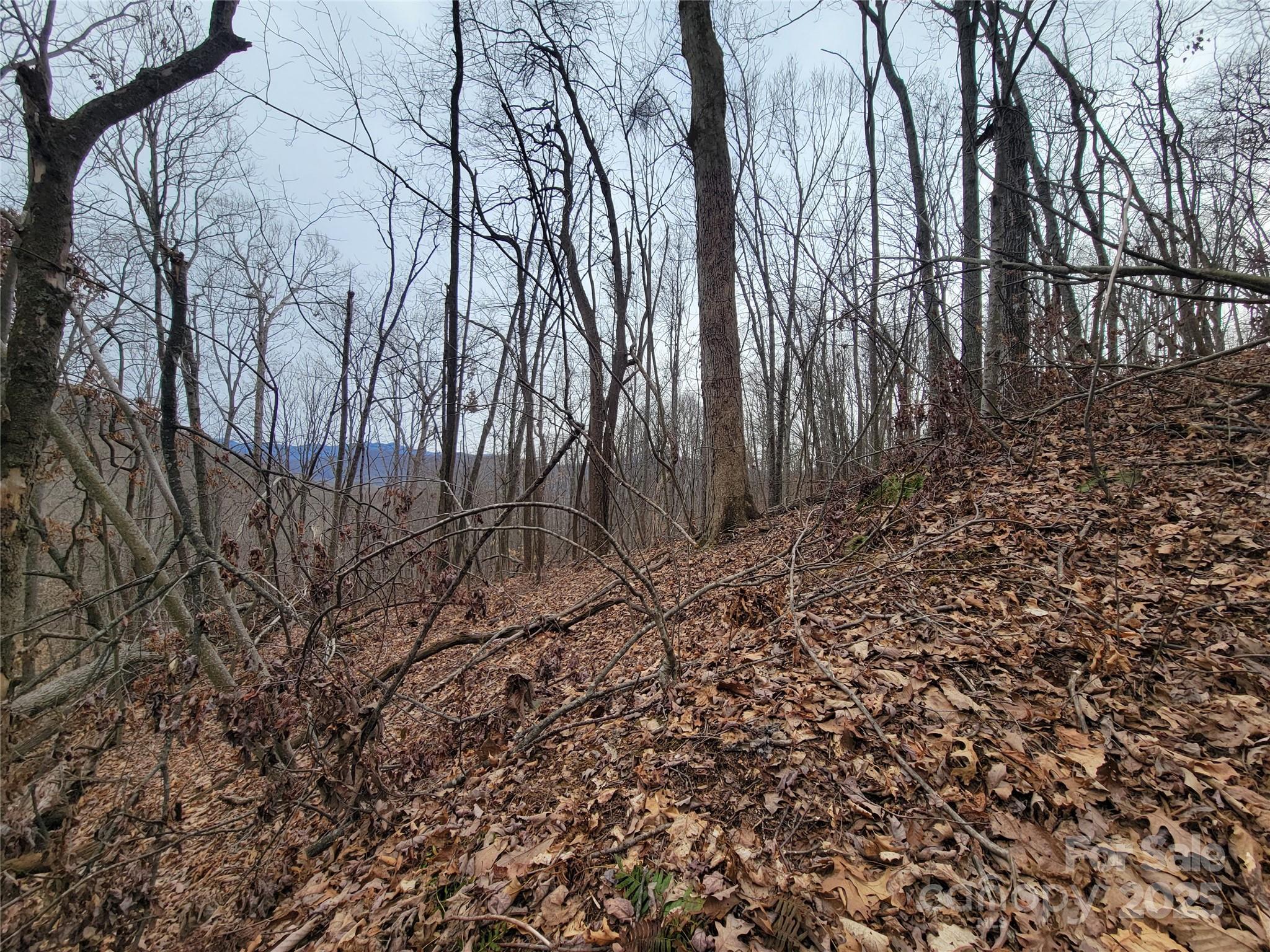 2100 Chambers Mountain Road Property Photo 8