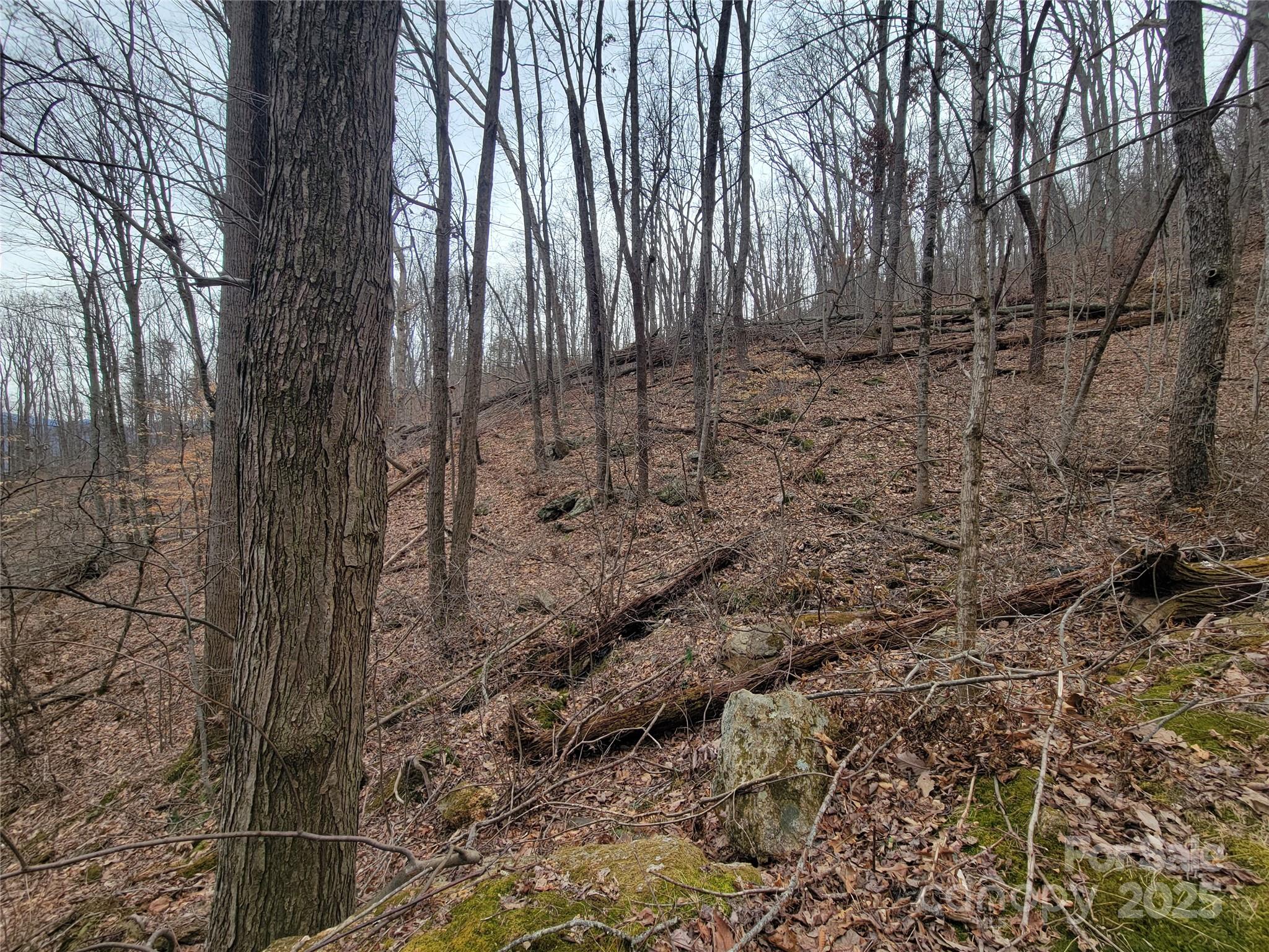 2100 Chambers Mountain Road Property Photo 9