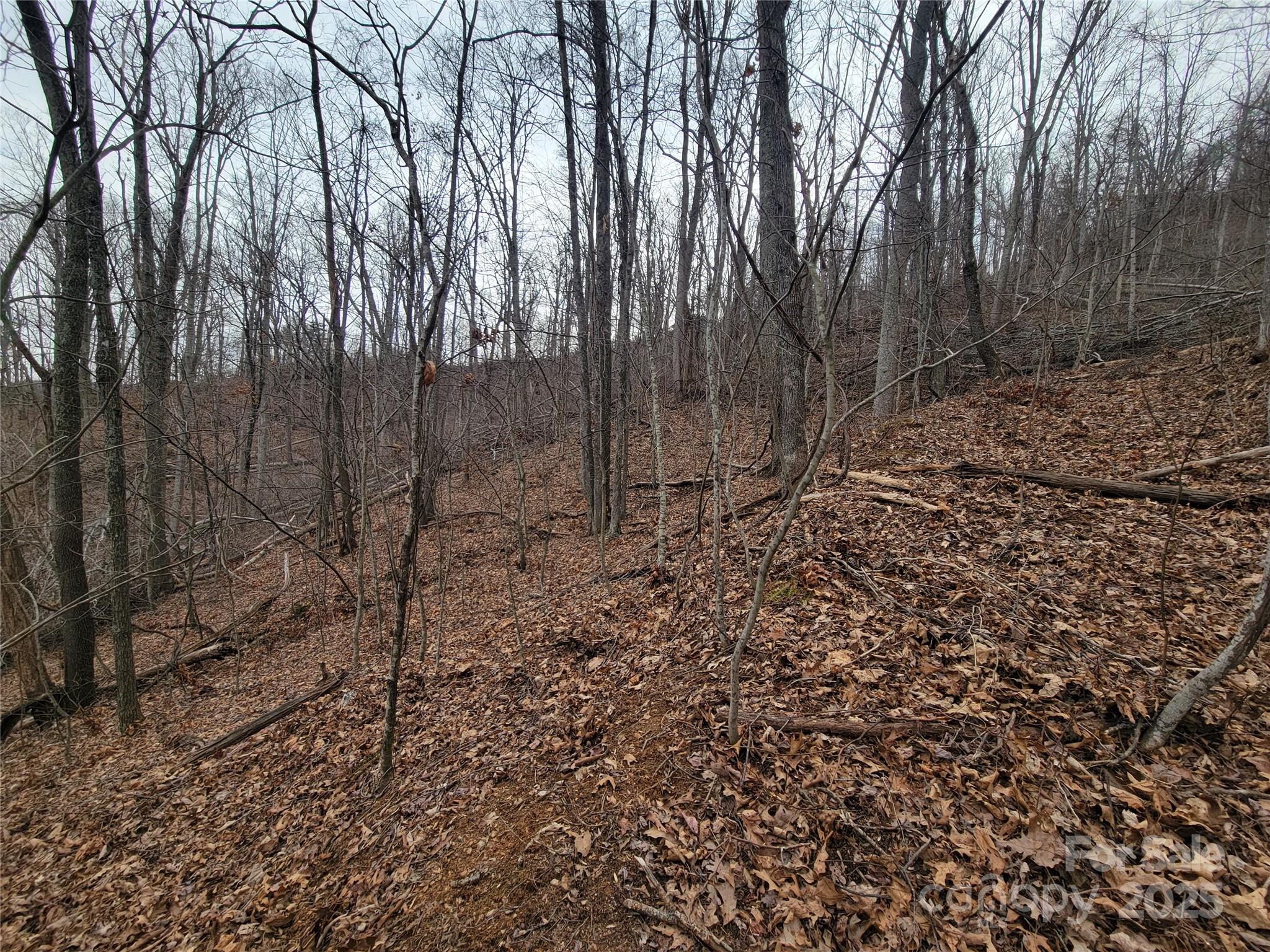 2100 Chambers Mountain Road Property Photo 10